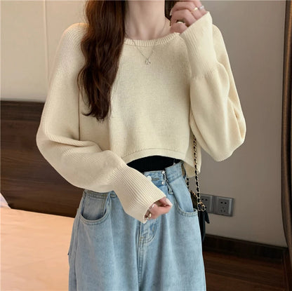 Crop Top Sweater O-Neck