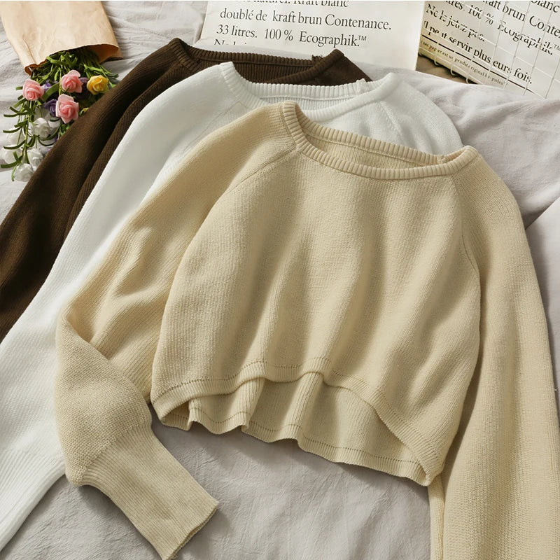 Crop Top Sweater O-Neck