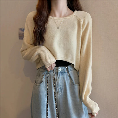 Crop Top Sweater O-Neck